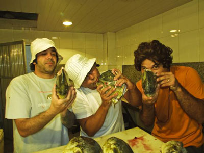 banda-leme-peixes.jpg