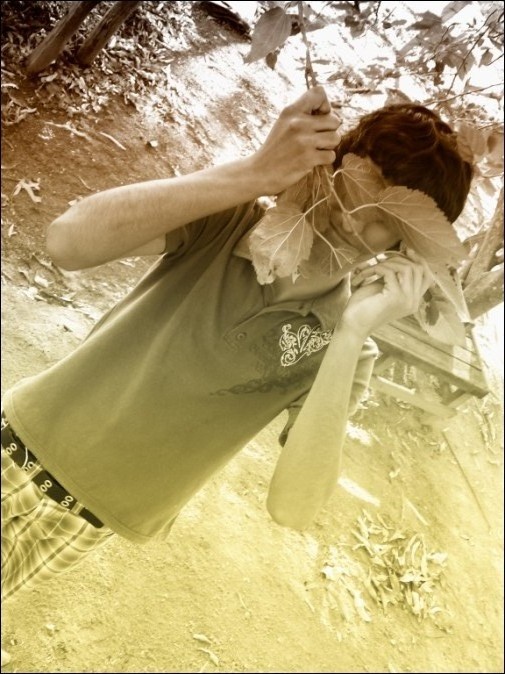 wallace_foto_17.jpg